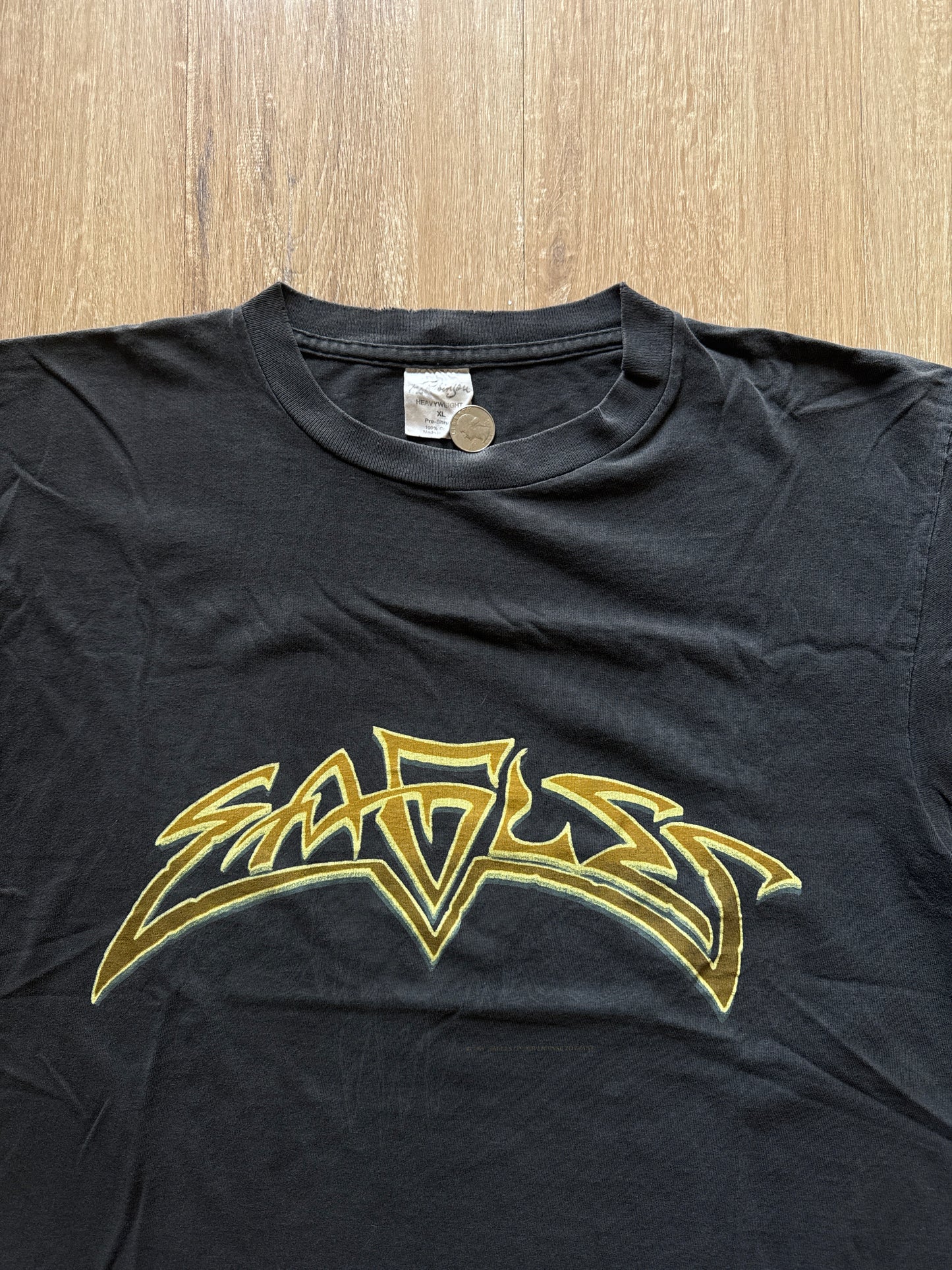 Vintage 1995 Eagles Hell Freezes Over Tee