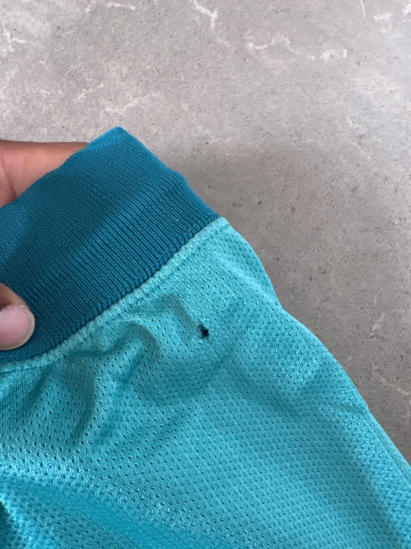 Vintage Champion Charlotte Hornets Shorts