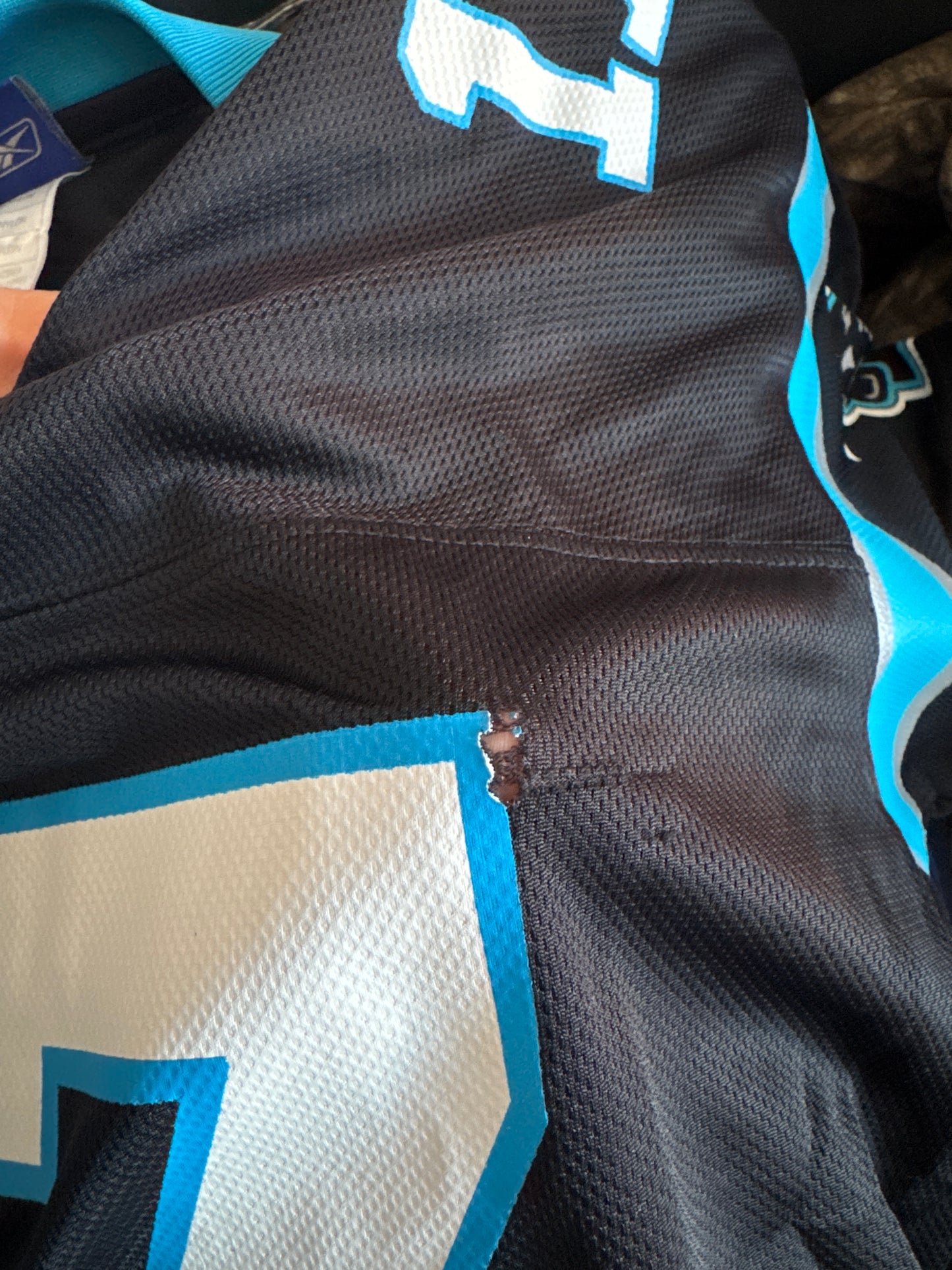 Reebok Youth Carolina Panthers Jake Delhomme Football Jersey