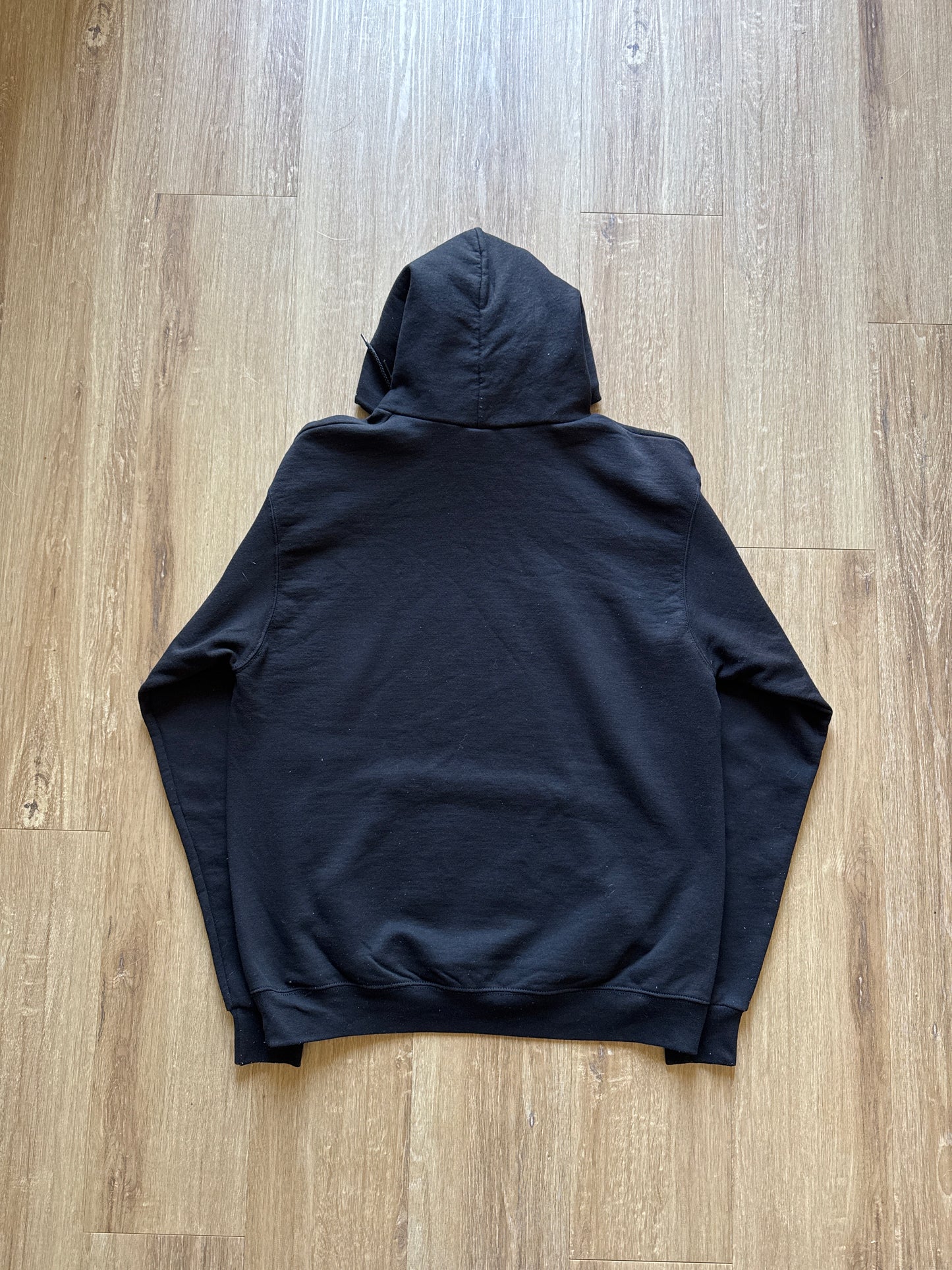 Champion University Of South Carolina Gamecocks Logo Hoodie