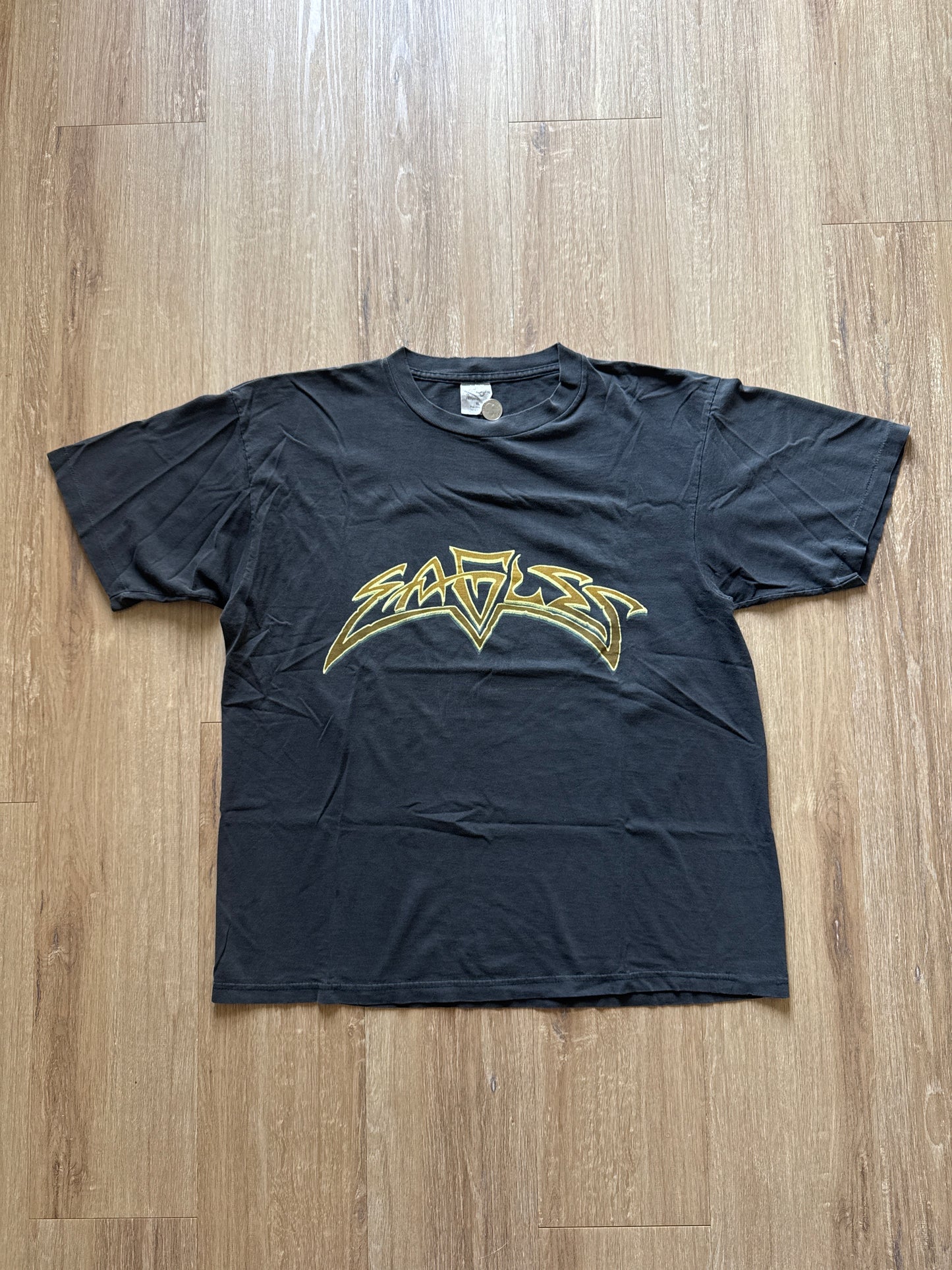 Vintage 1995 Eagles Hell Freezes Over Tee