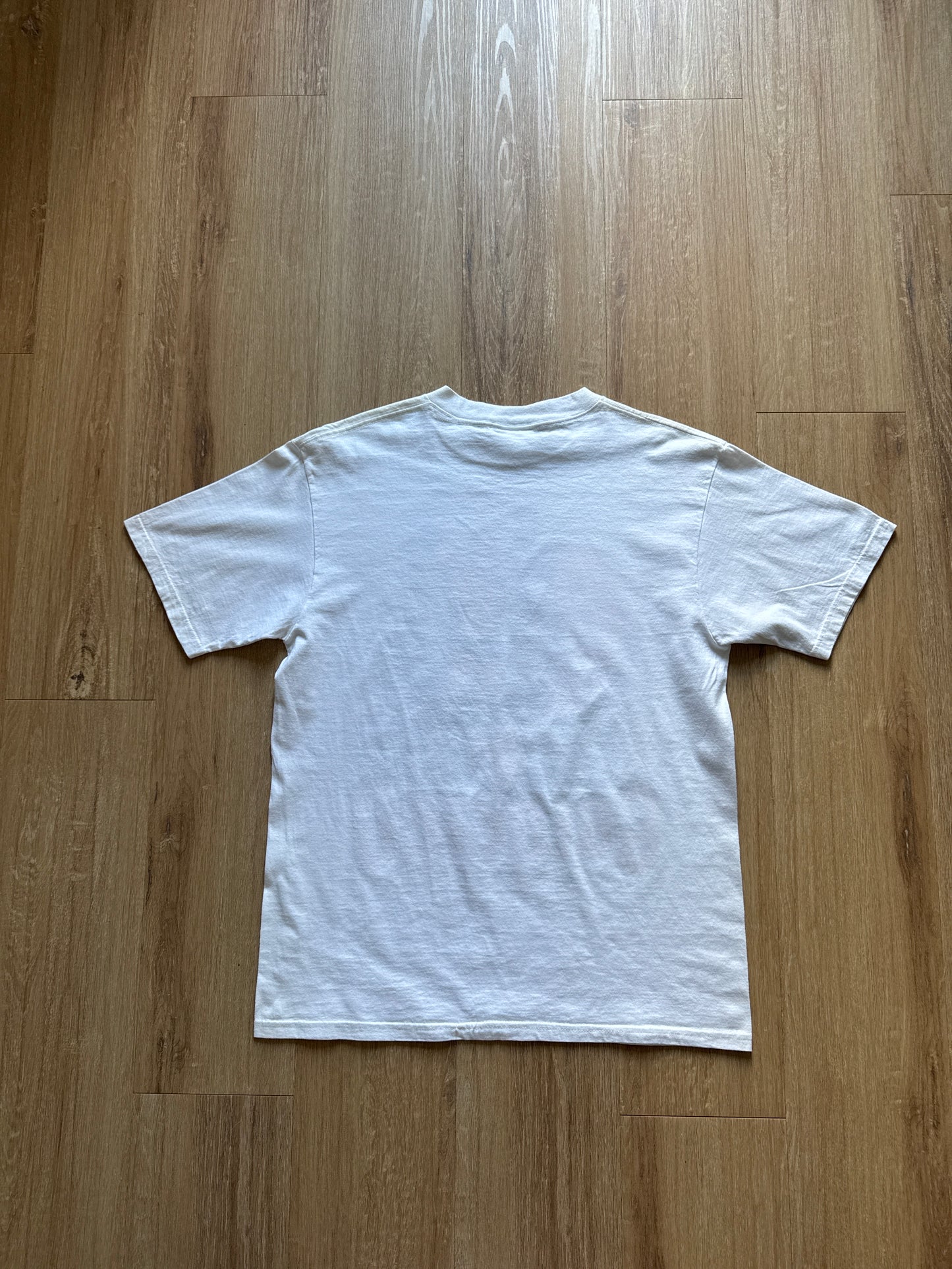 Vintage 1998 WCW Goldberg Champion Tee