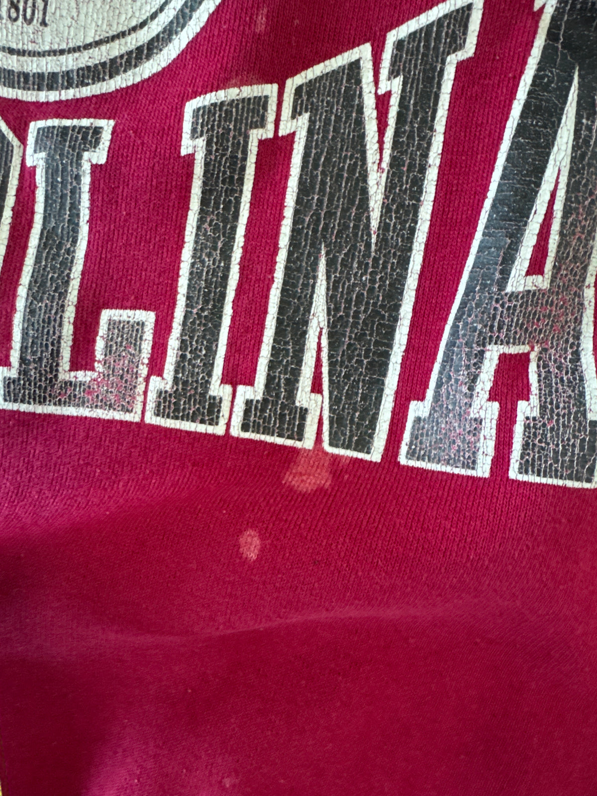 Vintage 80s University Of South Carolina Gamecocks Sweatshirt