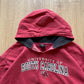 Vintage Starter University Of South Carolina Gamecocks Hoodie