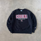 Champion University Of South Carolina Gamecocks Reverse Weave Sweatshirt