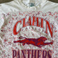 Vintage 90s Claflin College Panthers All Over Print Tee