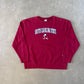 Vintage Russell Athletic South Carolina State University Bulldogs Sweatshirt