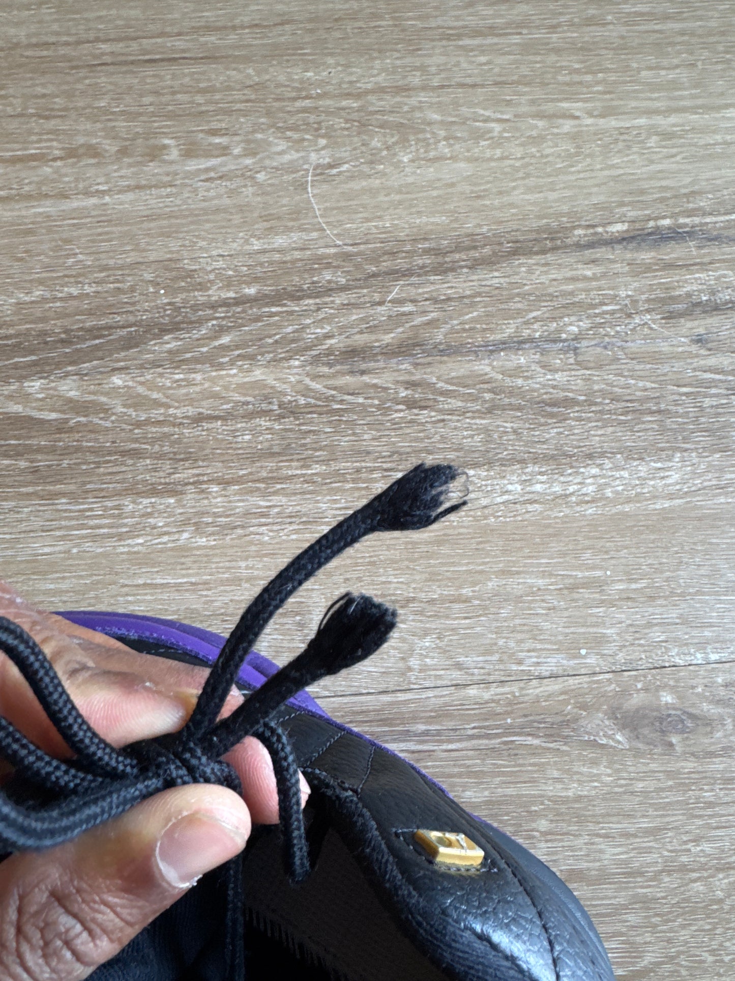 Jordan Retro 12 Field Purple Pre-school