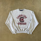 Vintage Champion University Of South Carolina Gamecocks Sweatshirt