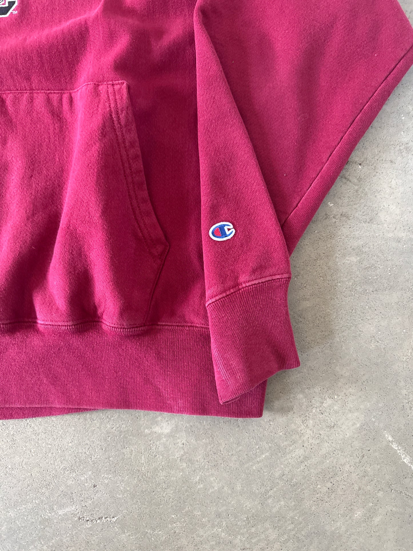 Vintage Champion Reverse Weave University Of South Carolina Gamecocks Hoodie