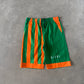 Vintage 90s University Of Miami Hurricanes Hooded Tee Shorts Set