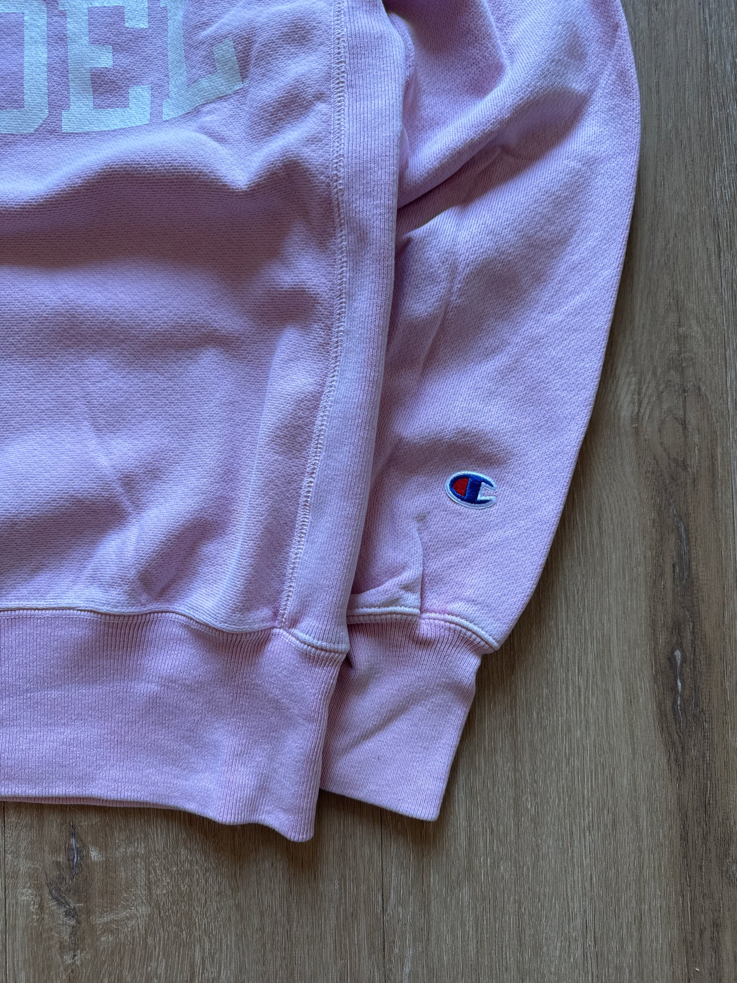 Vintage Champion Reverse Weave The Citadel The Military College of South Carolina