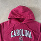 Vintage Champion Reverse Weave University Of South Carolina Gamecocks Hoodie