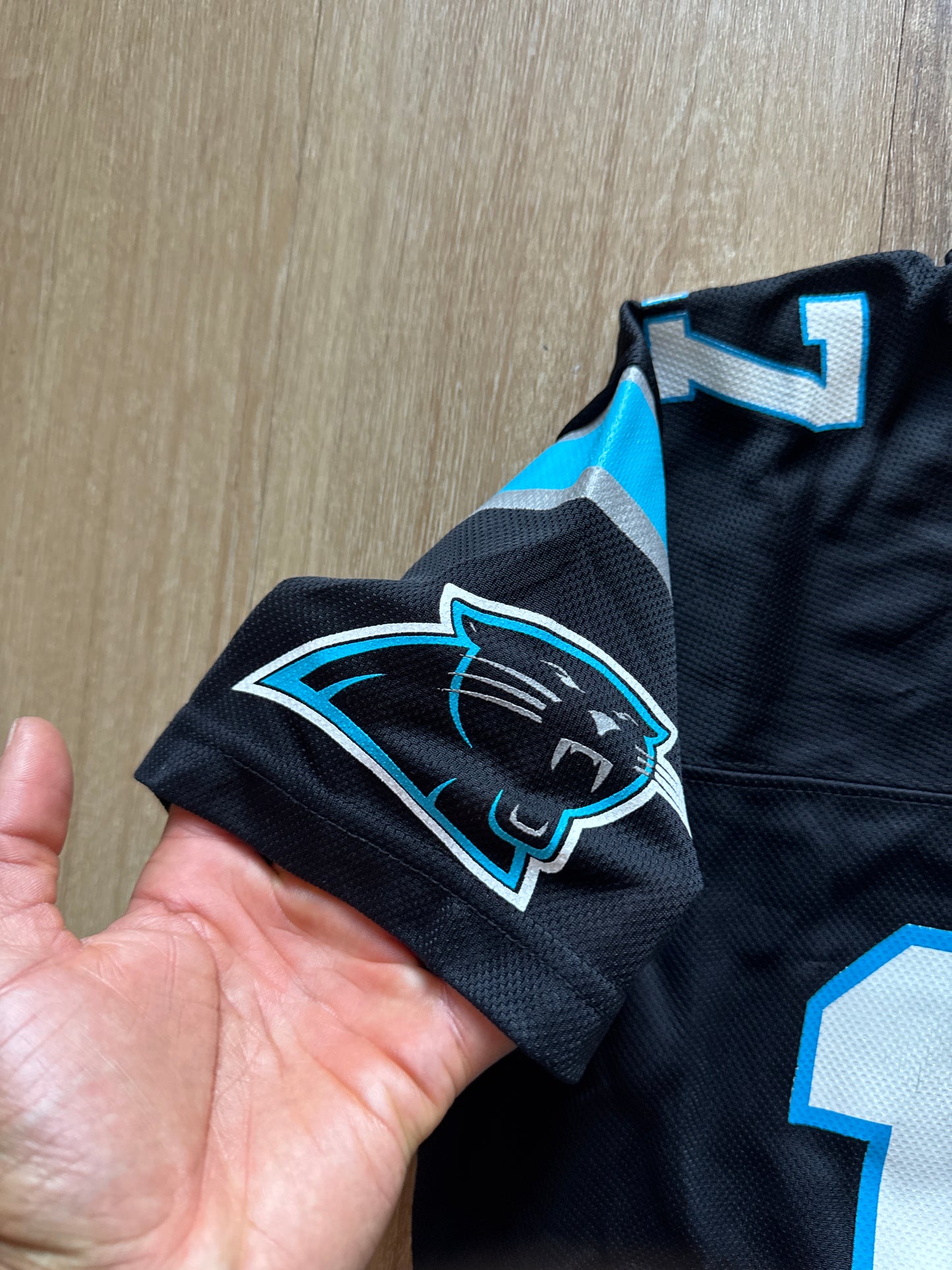 Reebok Youth Carolina Panthers Jake Delhomme Football Jersey