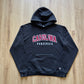 Champion University Of South Carolina Gamecocks Logo Hoodie