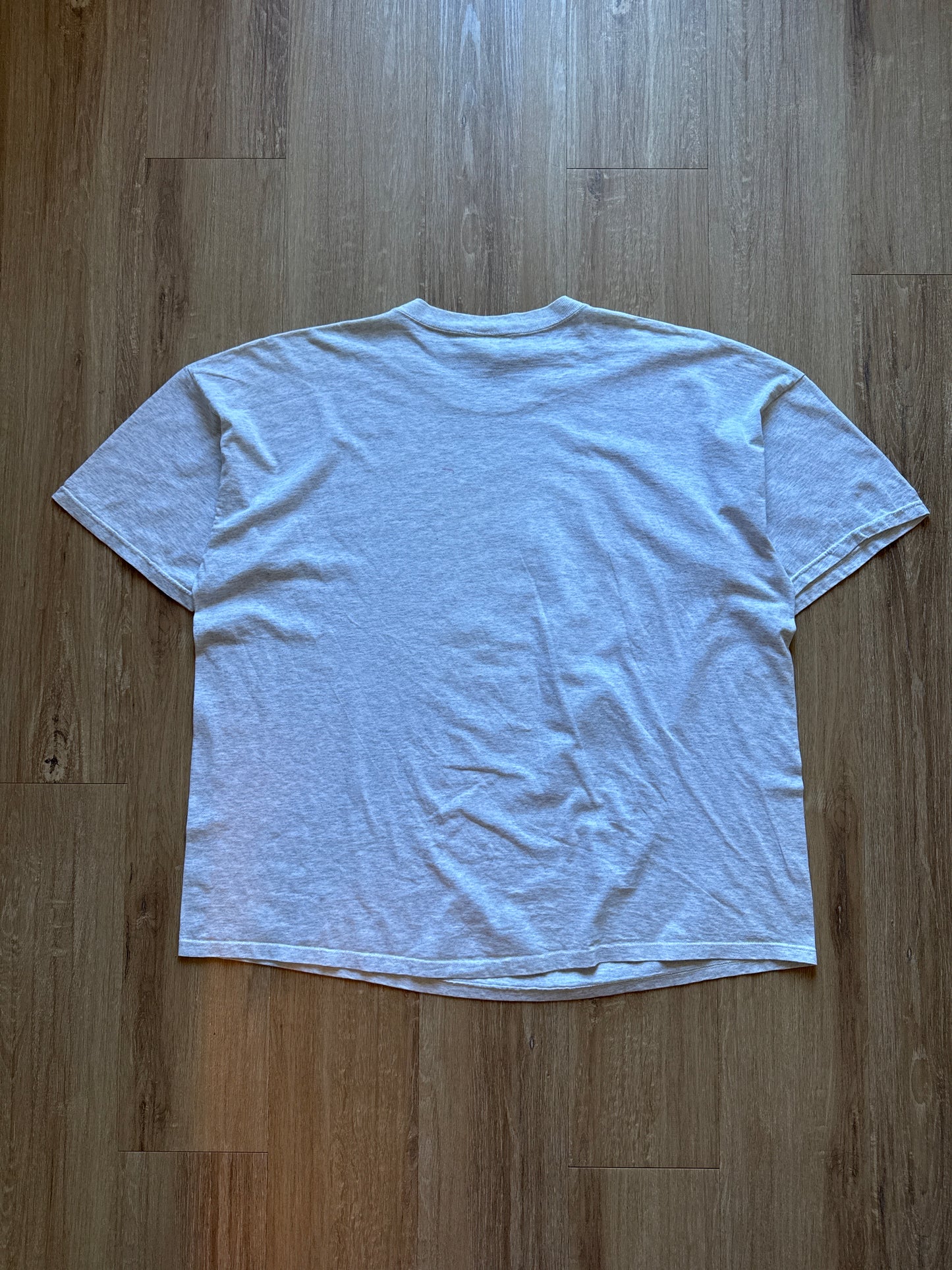 Vintage 1995 Warner Bros Tweety Bird USA Flag Tee