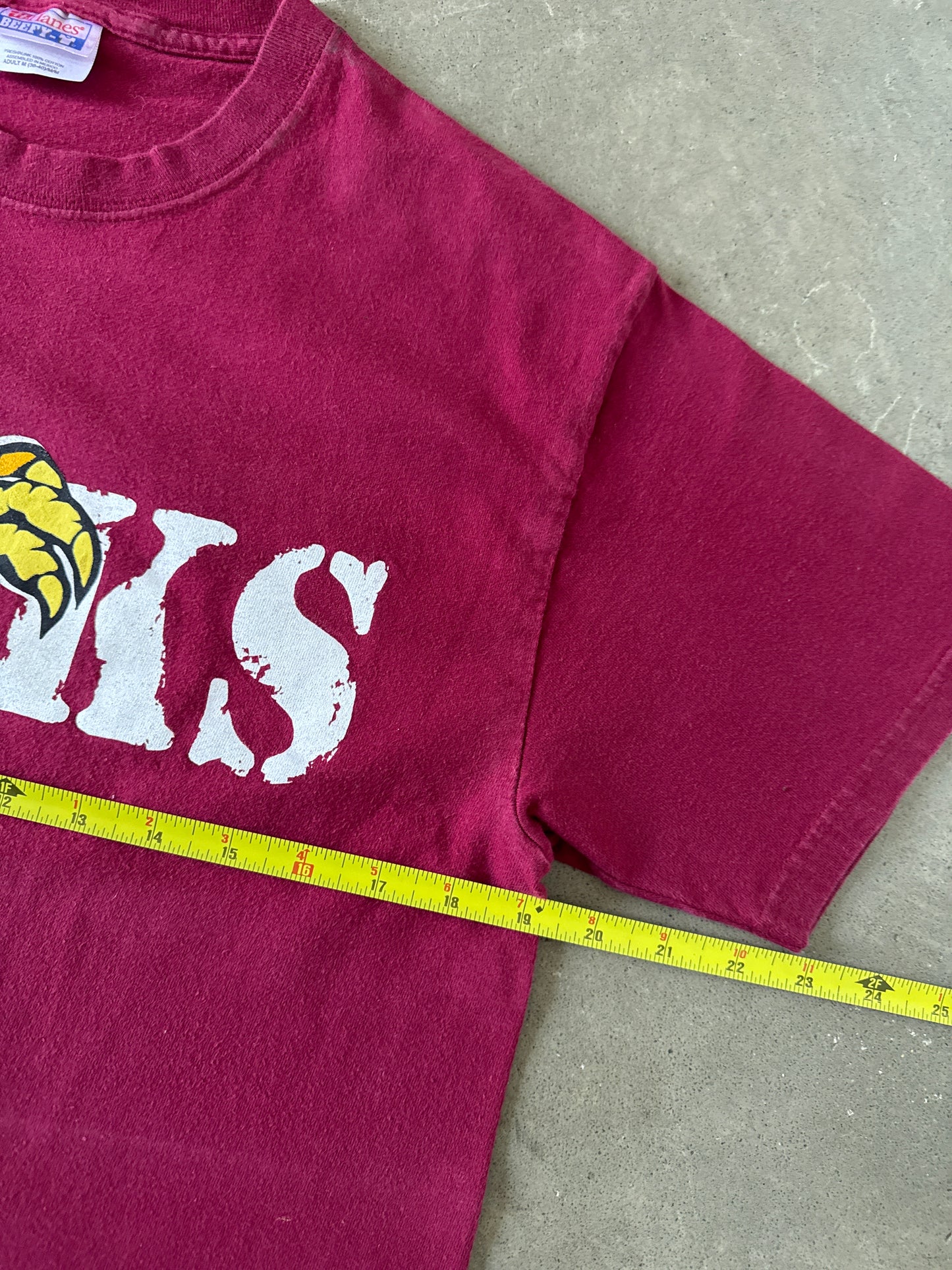 Vintage University Of South Carolina Gamecocks Cocks Claw Tee