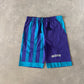Vintage 90s Charlotte Hornets Hooded Tee Shorts Set