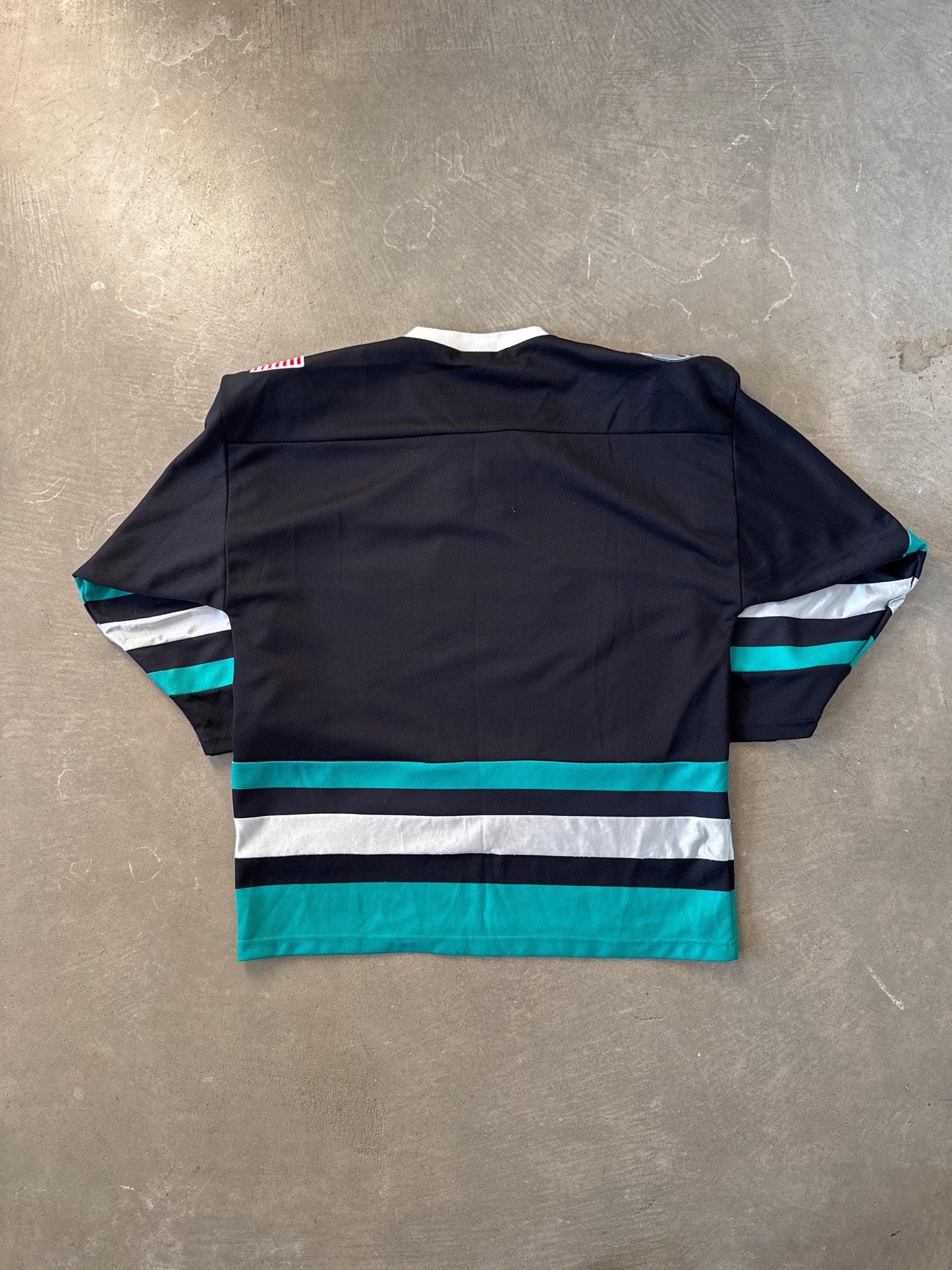 ECHL Richmond Renegades Hockey Jersey