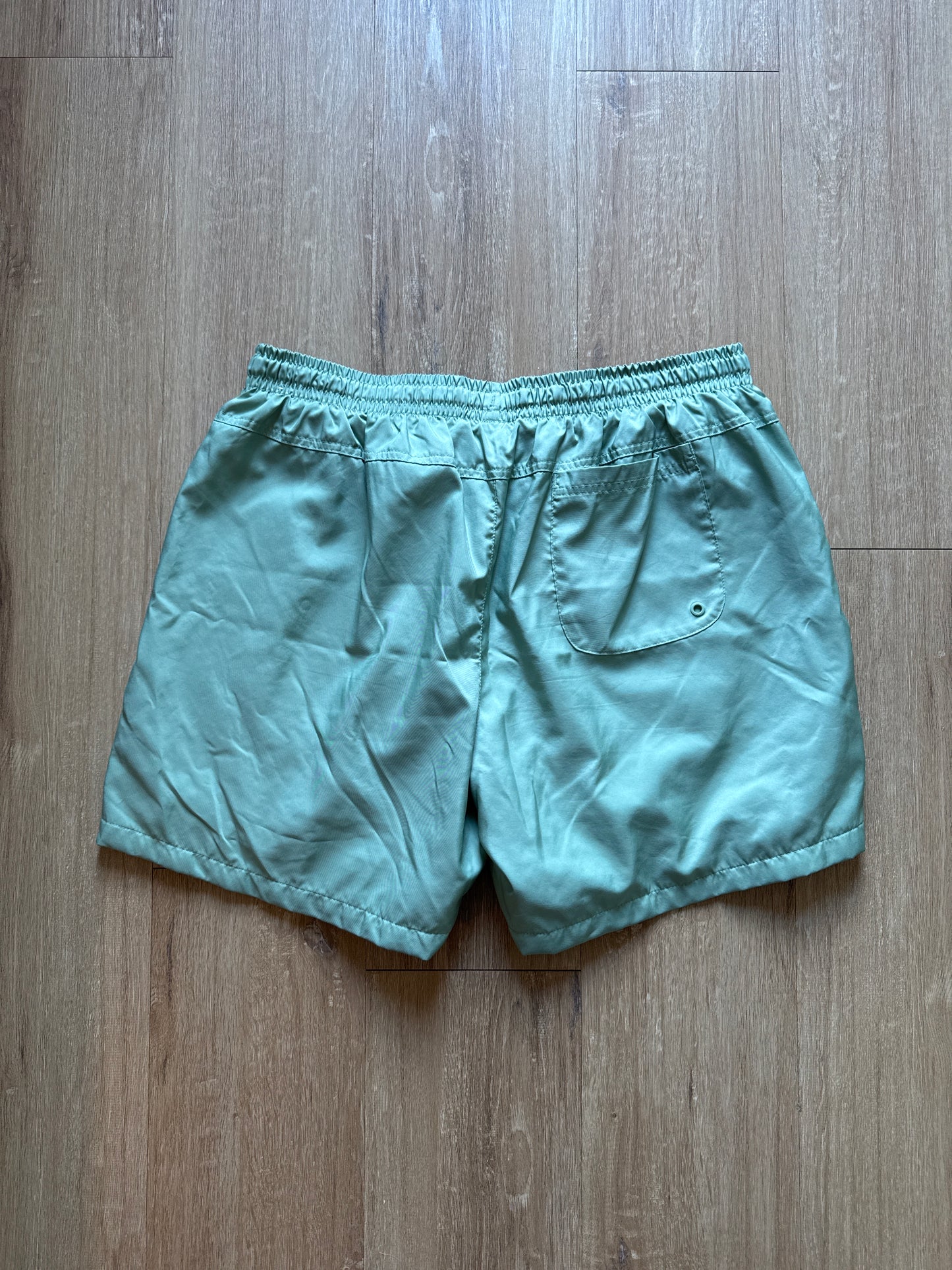 Nike Pale Mint Green Logo Shorts