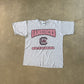 Vintage Dynasty University Of South Carolina Gamecocks Tee