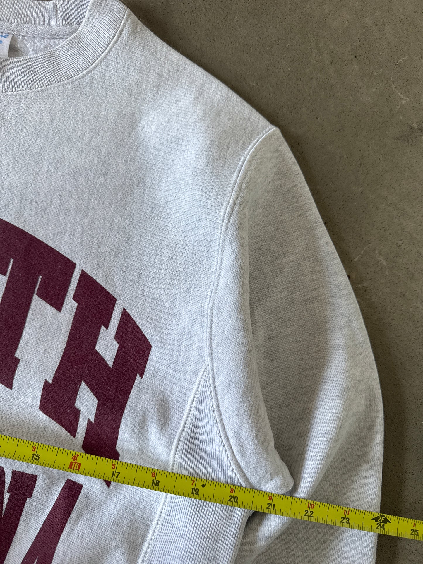 Champion University Of South Carolina Gamecocks Reverse Weave Sweatshirt