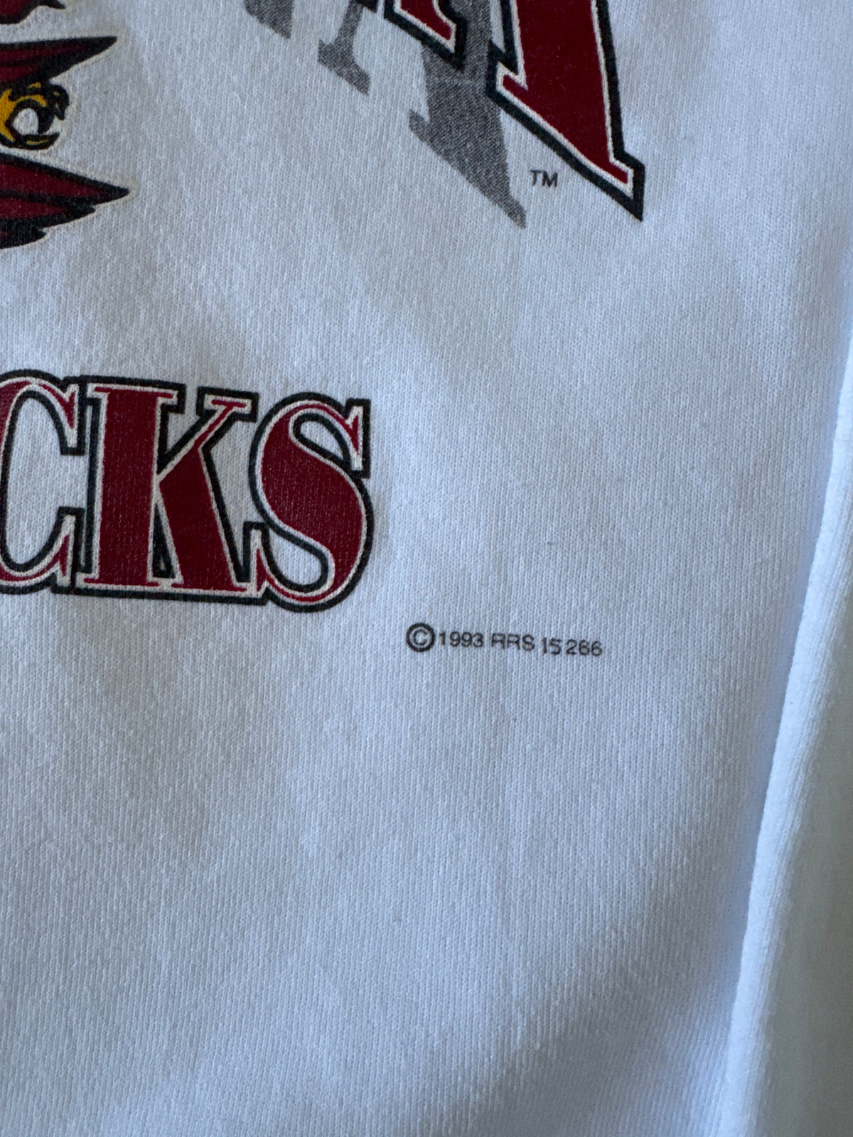 Vintage 90s University Of South Carolina Gamecocks Sweatshirt