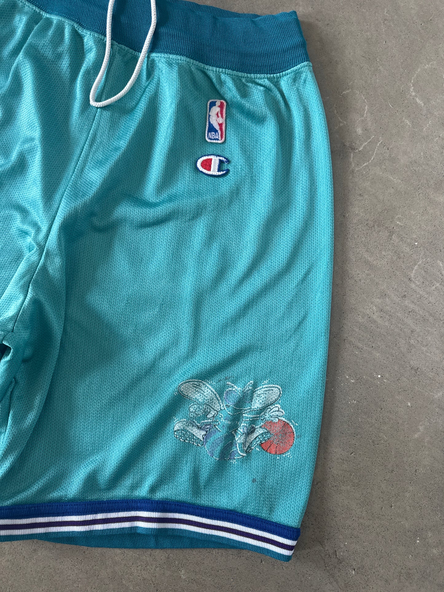 Vintage Champion Charlotte Hornets Shorts