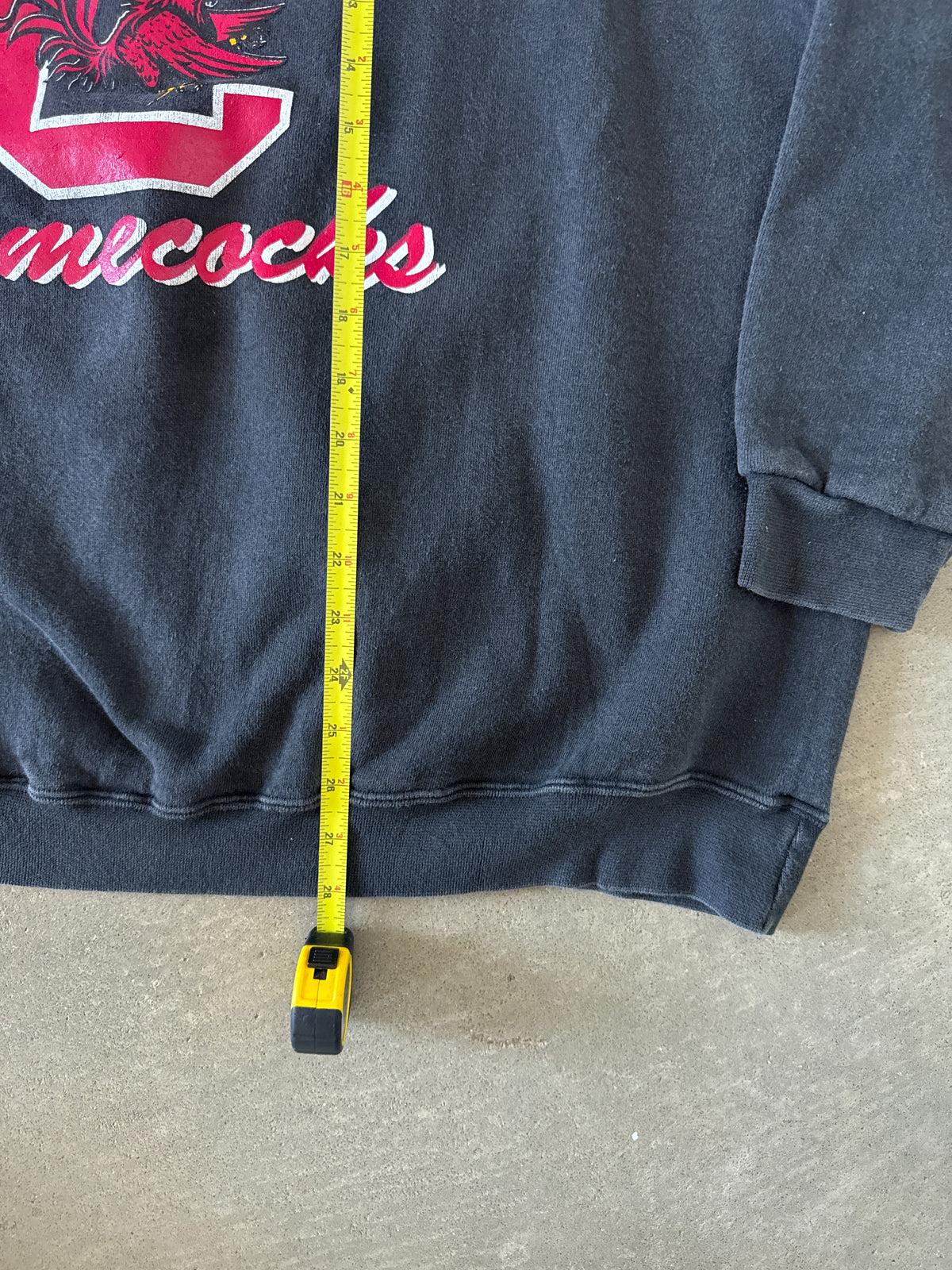 Vintage 90s University Of South Carolina Gamecocks Sweatshirt