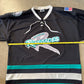 ECHL Richmond Renegades Hockey Jersey