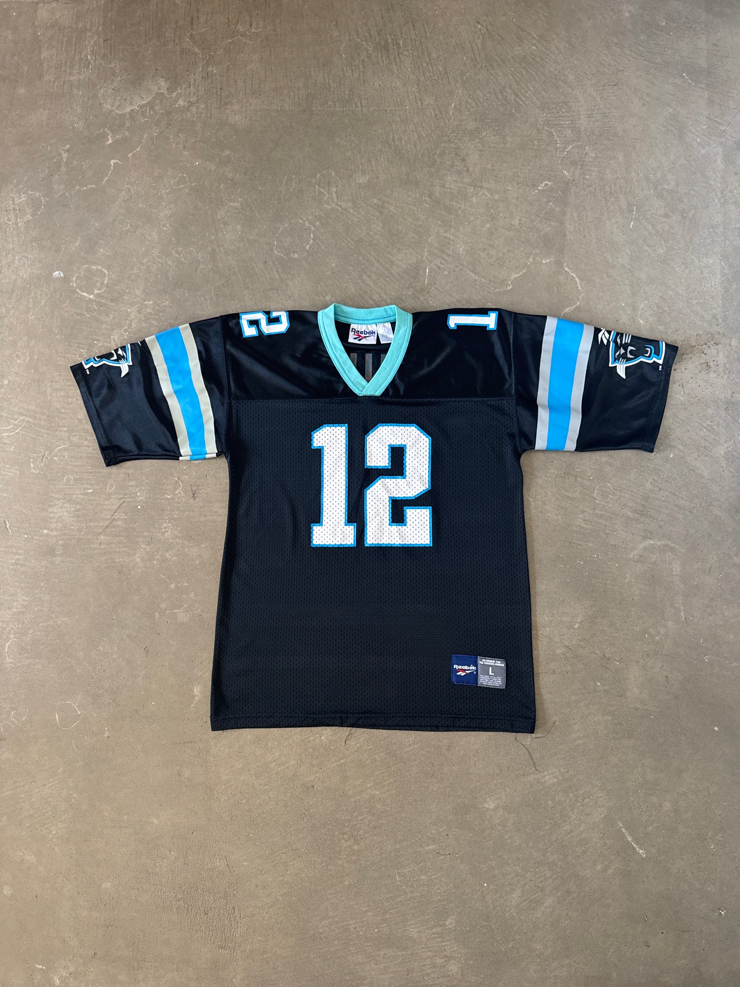 Vintage Reebok Carolina Panthers Kerry Collin’s Football Jersey