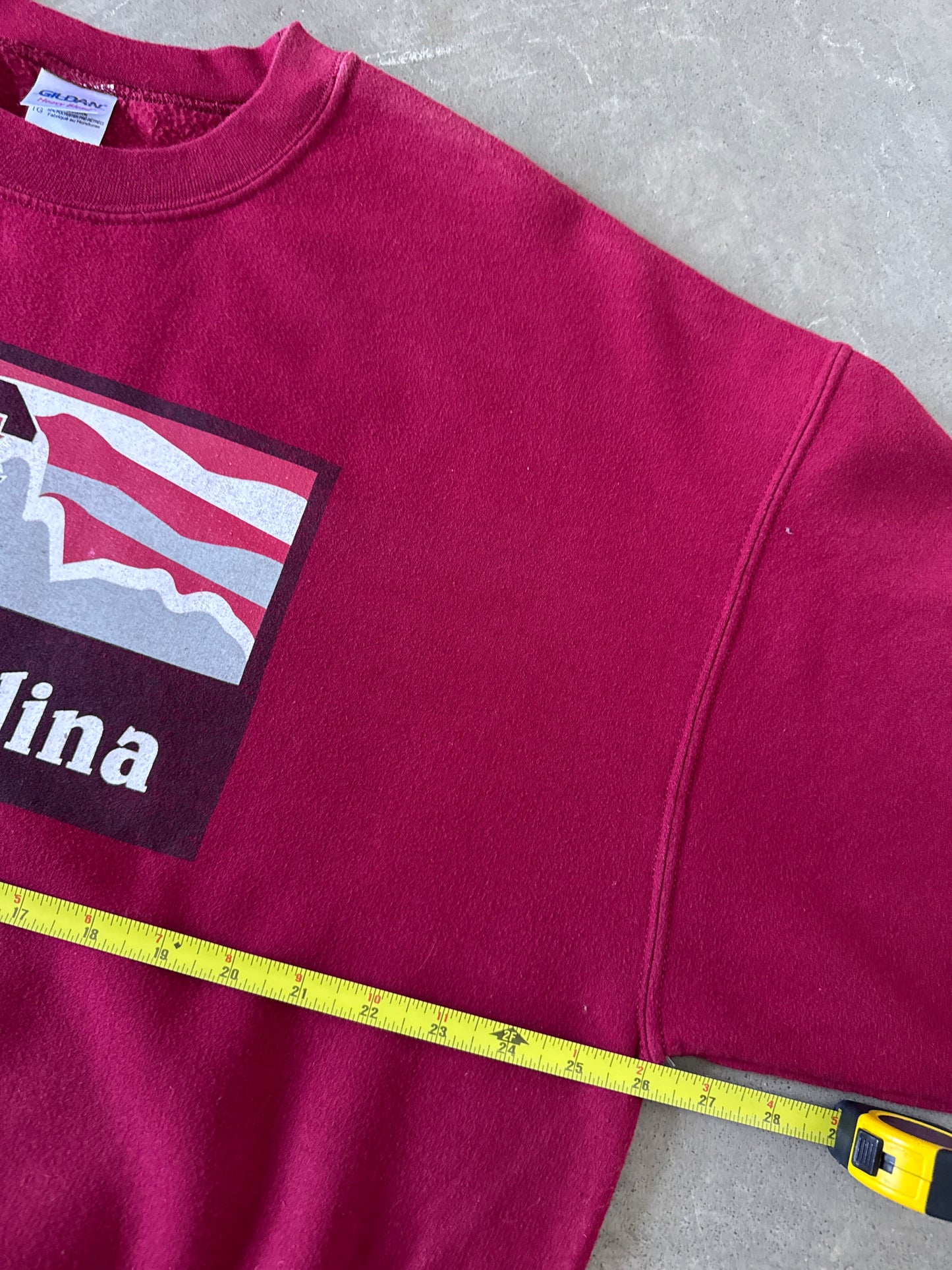 Vintage University Of South Carolina Gamecocks Patagonia Parody Sweatshirt