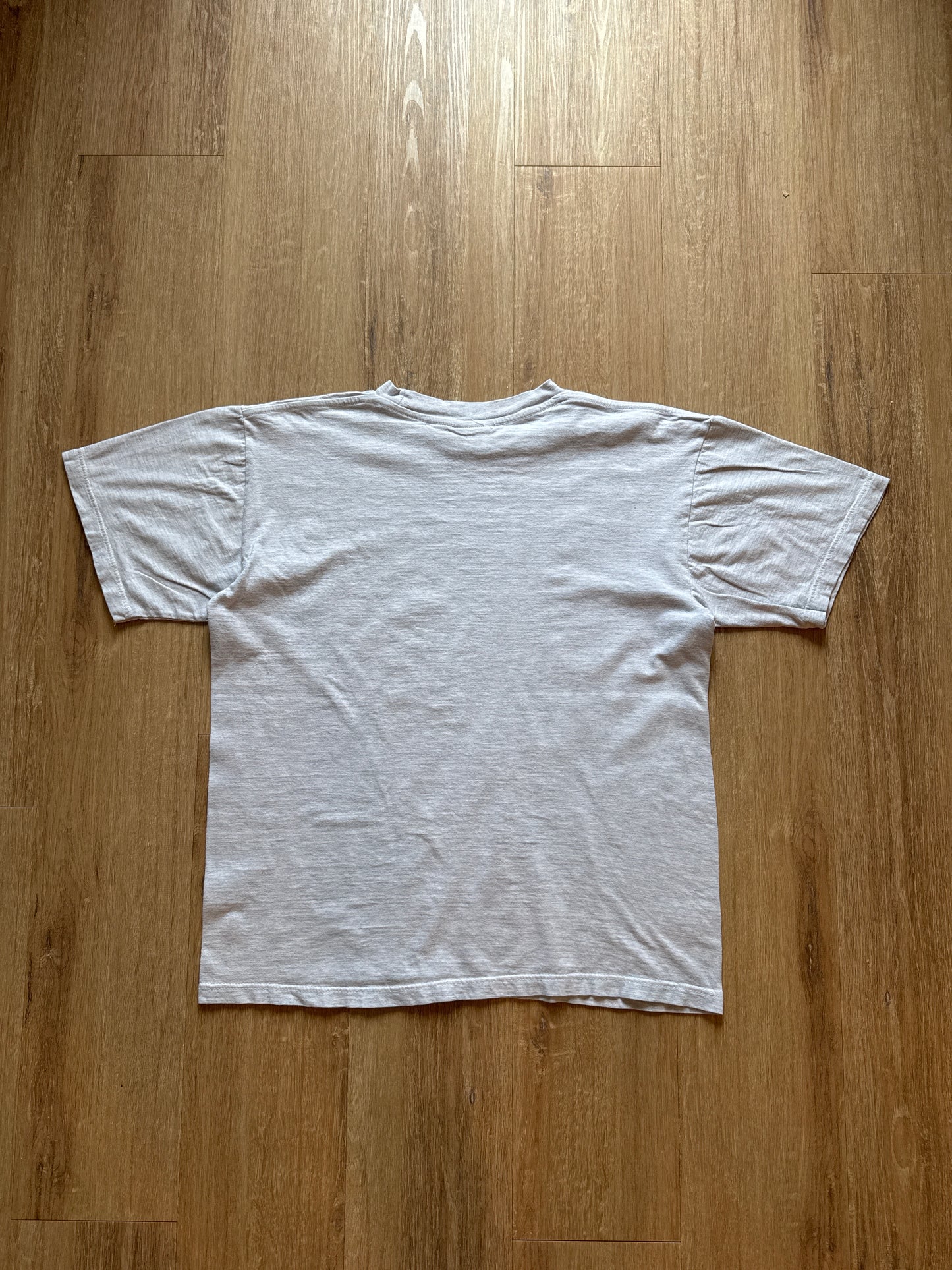 Vintage 1995 Warner Bros University Of South Carolina Gamecocks Football Tee