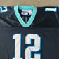 Vintage Reebok Carolina Panthers Kerry Collin’s Football Jersey