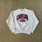 Vintage 90s Jansport University Of South Carolina Gamecocks Alumni Sweatshirt