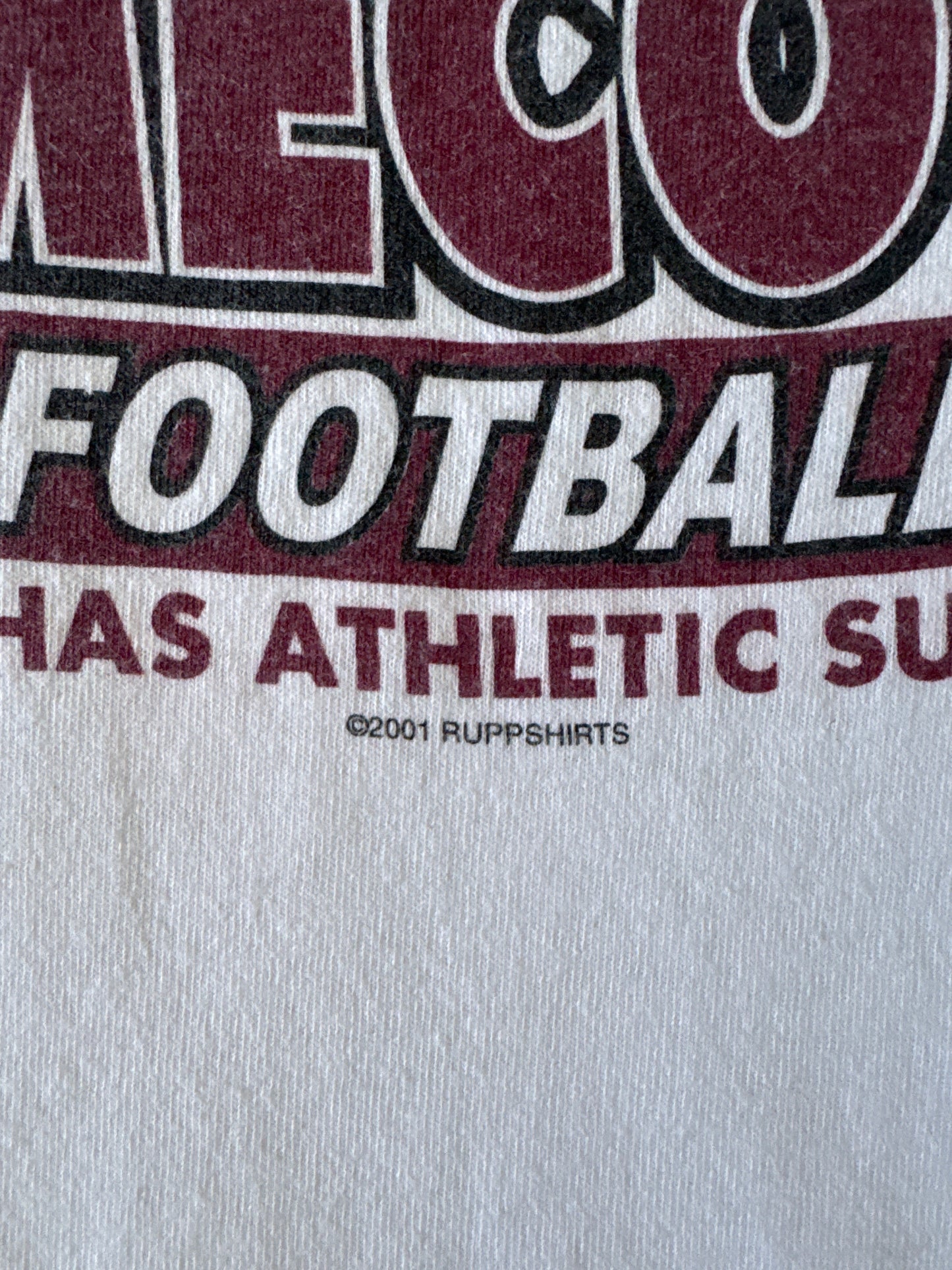 Vintage 2001 University Of South Carolina Gamecocks Football Fans Tee