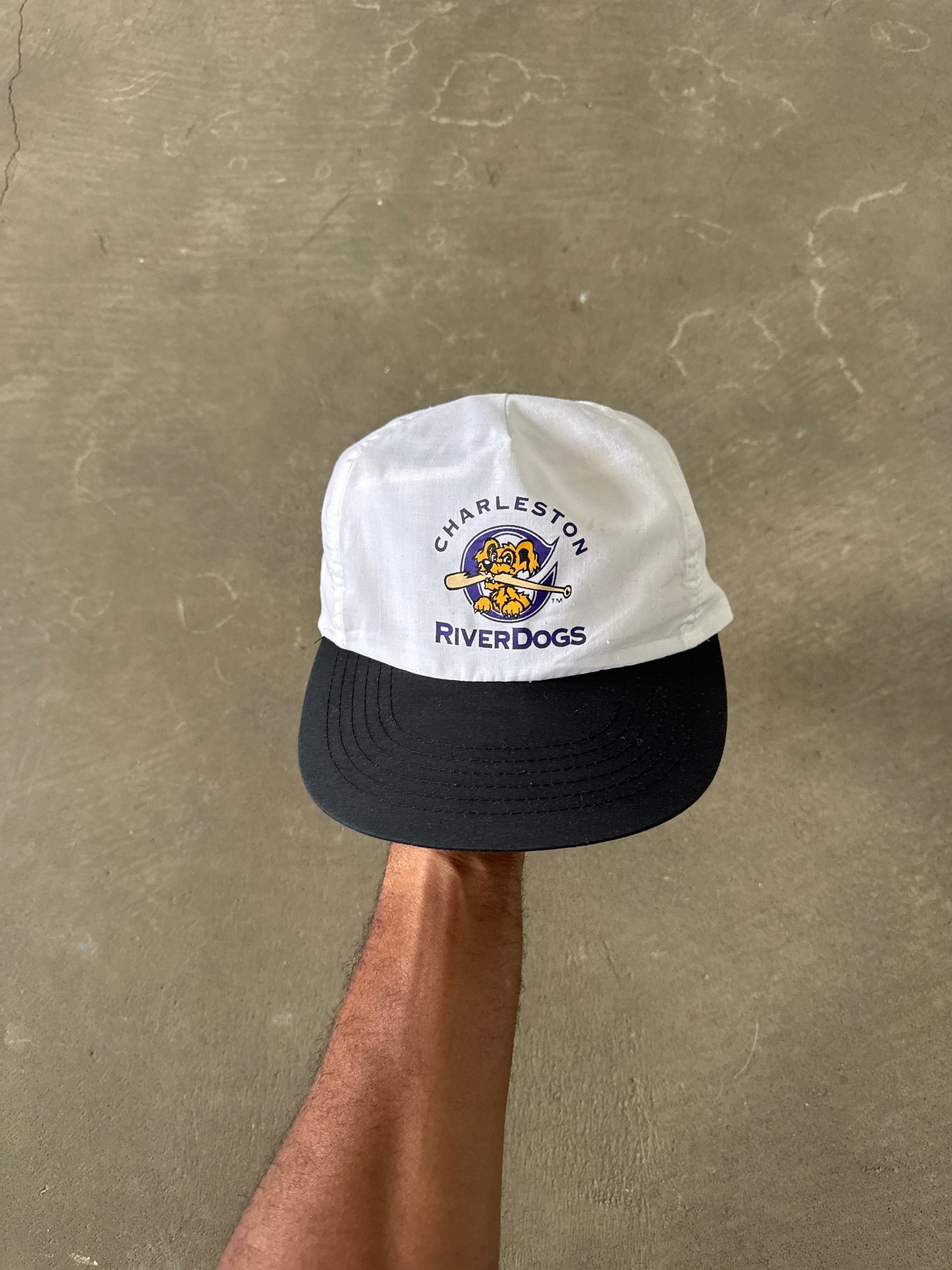 Vintage 90s Charleston Riverdogs Snapback Hat
