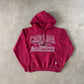 Champion University Of South Carolina Gamecocks Hoodie