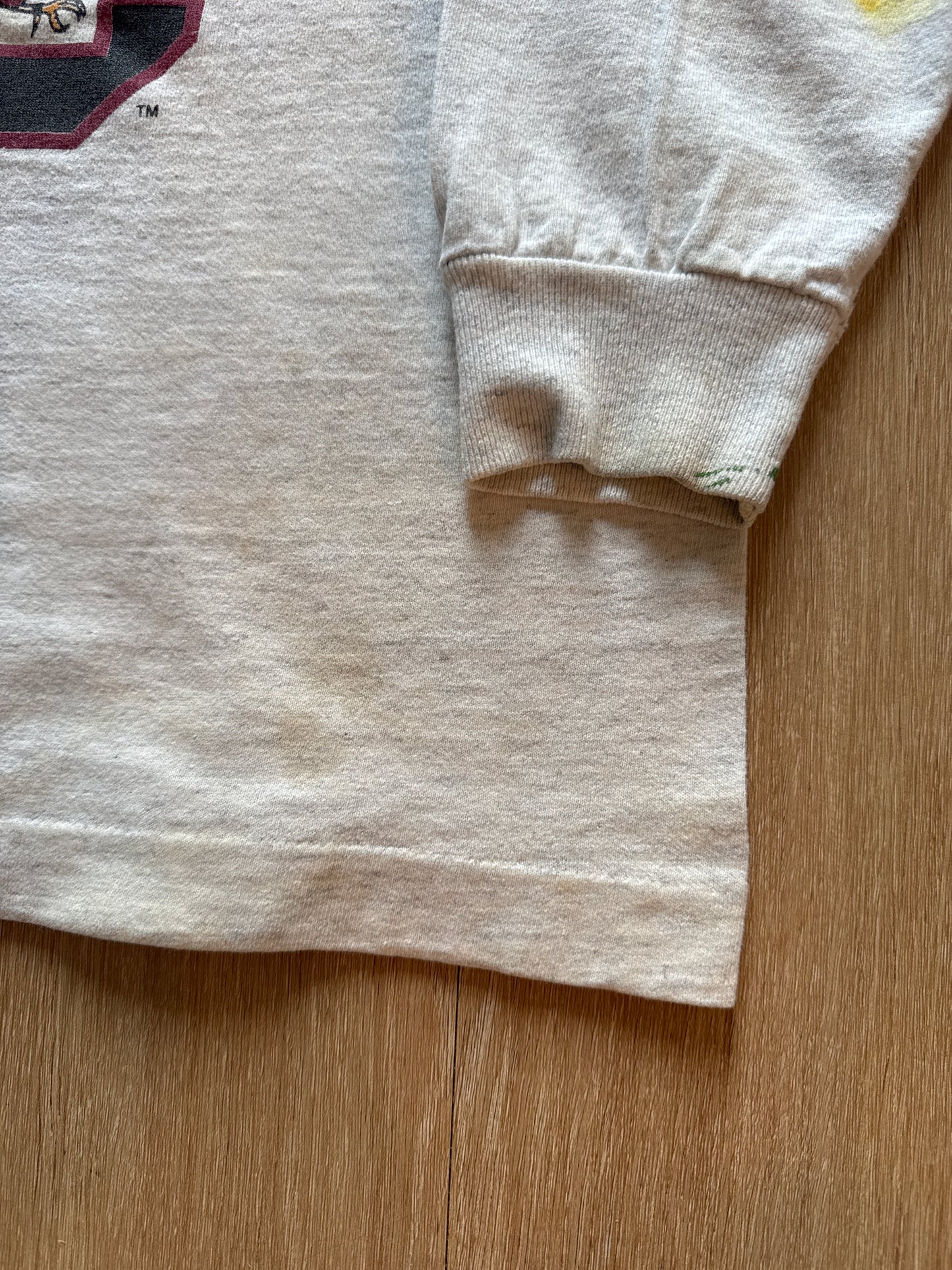 Vintage 1993 The University Of South Carolina Gamecocks Hooded Long Sleeve