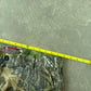 Mossy Oak Forest Camo Shorts