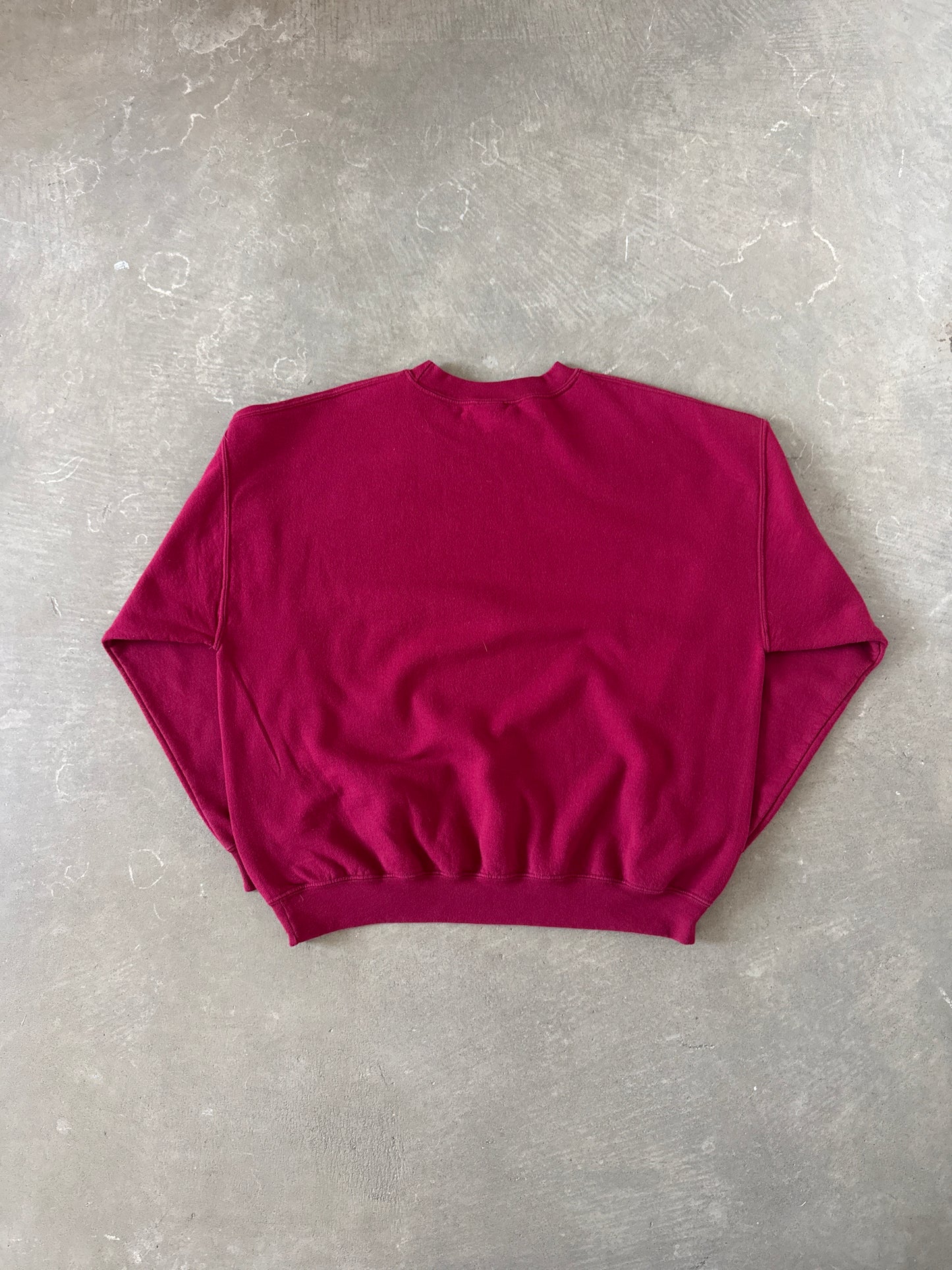 Vintage University Of South Carolina Gamecocks Patagonia Parody Sweatshirt