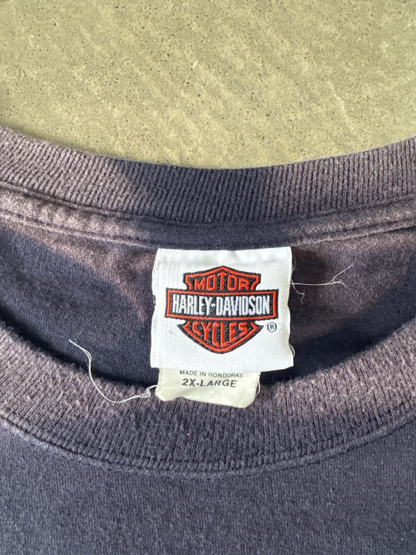 Harley Davidson Sun Faded Charleston South Carolina Long Sleeve