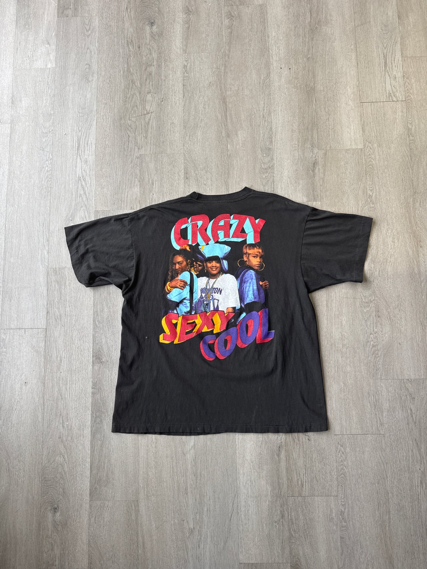 Vintage 1995 TLC Creep Crazy Sexy Cool Rap Tee