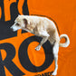 Supreme Antihero Dog Orange Tee (SS22)