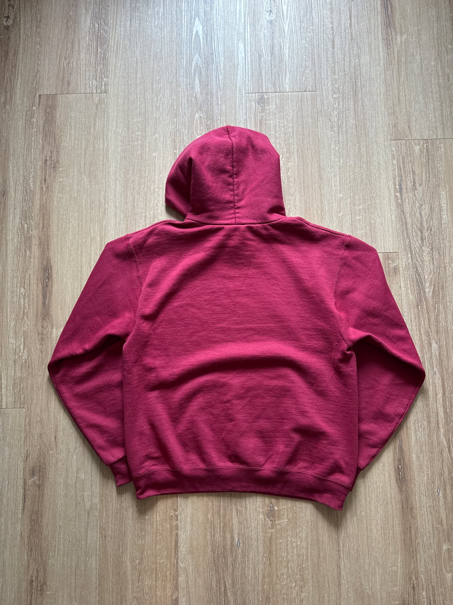 Champion University Of South Carolina Gamecocks Logo Hoodie