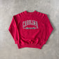 Vintage 80s University Of South Carolina Gamecocks Sweatshirt