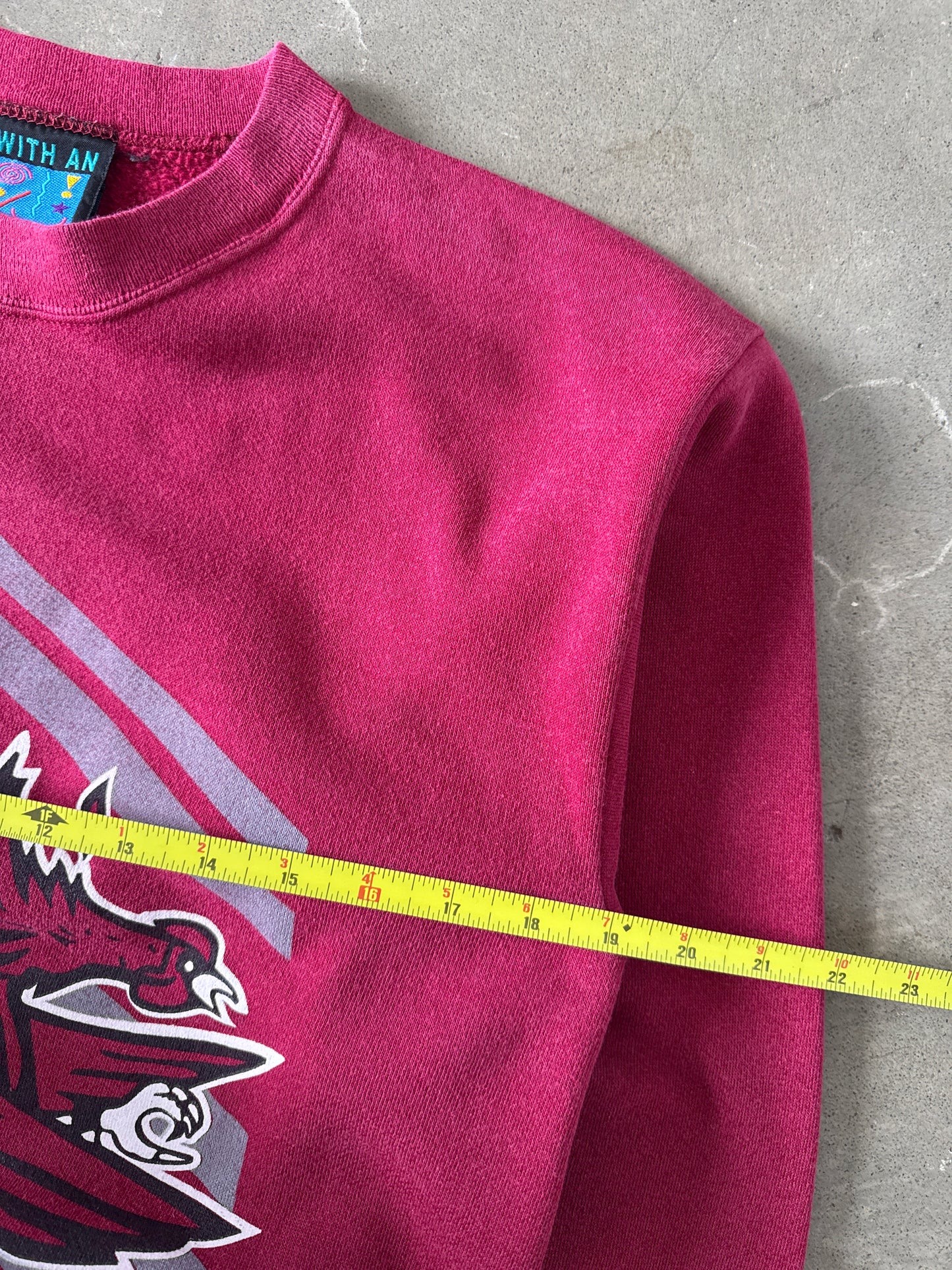 Vintage 90s University Of South Carolina Gamecocks Sweatshirt
