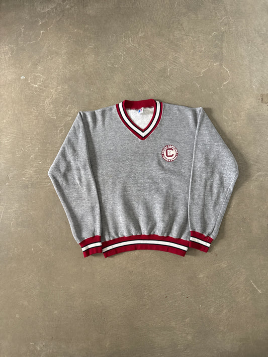 Vintage 90s University Of South Carolina Gamecock Basketball Sweatshirt
