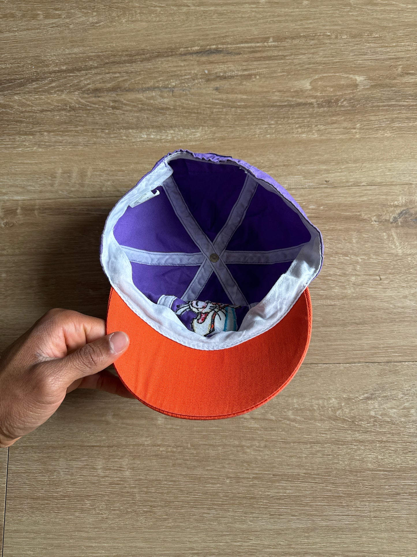 Vintage Youth Disney Winnie The Pooh Tigger Baseball Cap