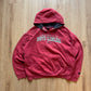 Vintage Starter University Of South Carolina Gamecocks Hoodie